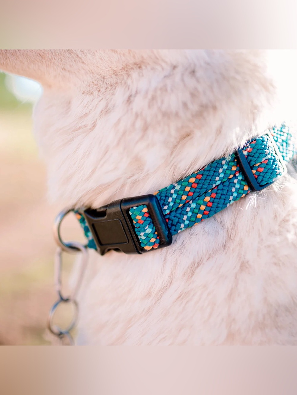 NWT Wilderdog Reflective Adj Rope Dog Collar, Size SM (3 colors) available
